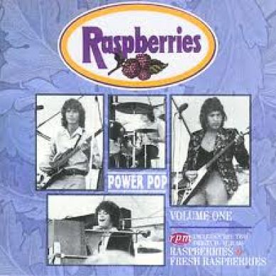 RARE RASPBERRIES CD POWERPOP V.1 IMPORT 1999 NEW MINT